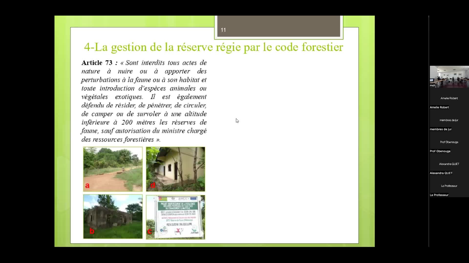 6-forets_africaines-tebonou.mp4