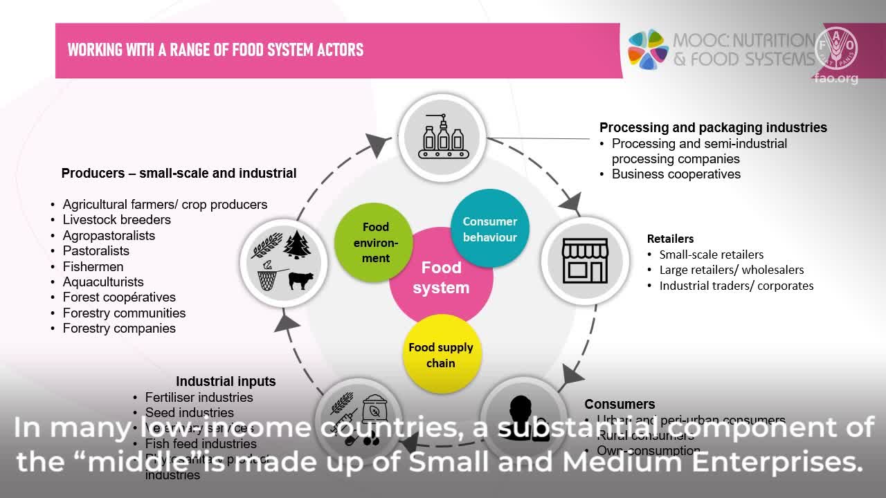 La théorie du changement dans la programmation d'une alimentation saine et durable - Comprendre la pensée systémique et l'approche des systèmes alimentaires durables pour une alimentation saine.