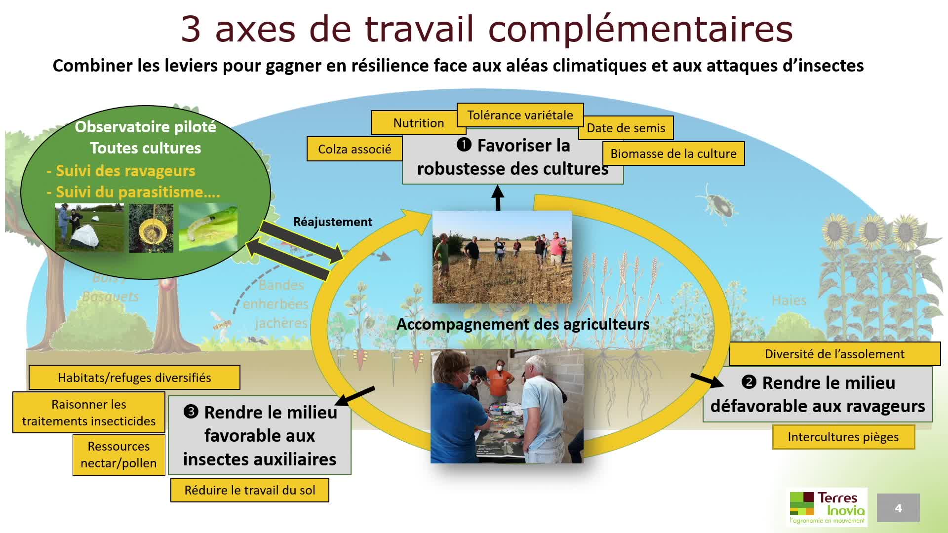 Limitation des dégâts d’insectes L’approche territoriale originale déployée dans le projet R2D2 en Bourgogne