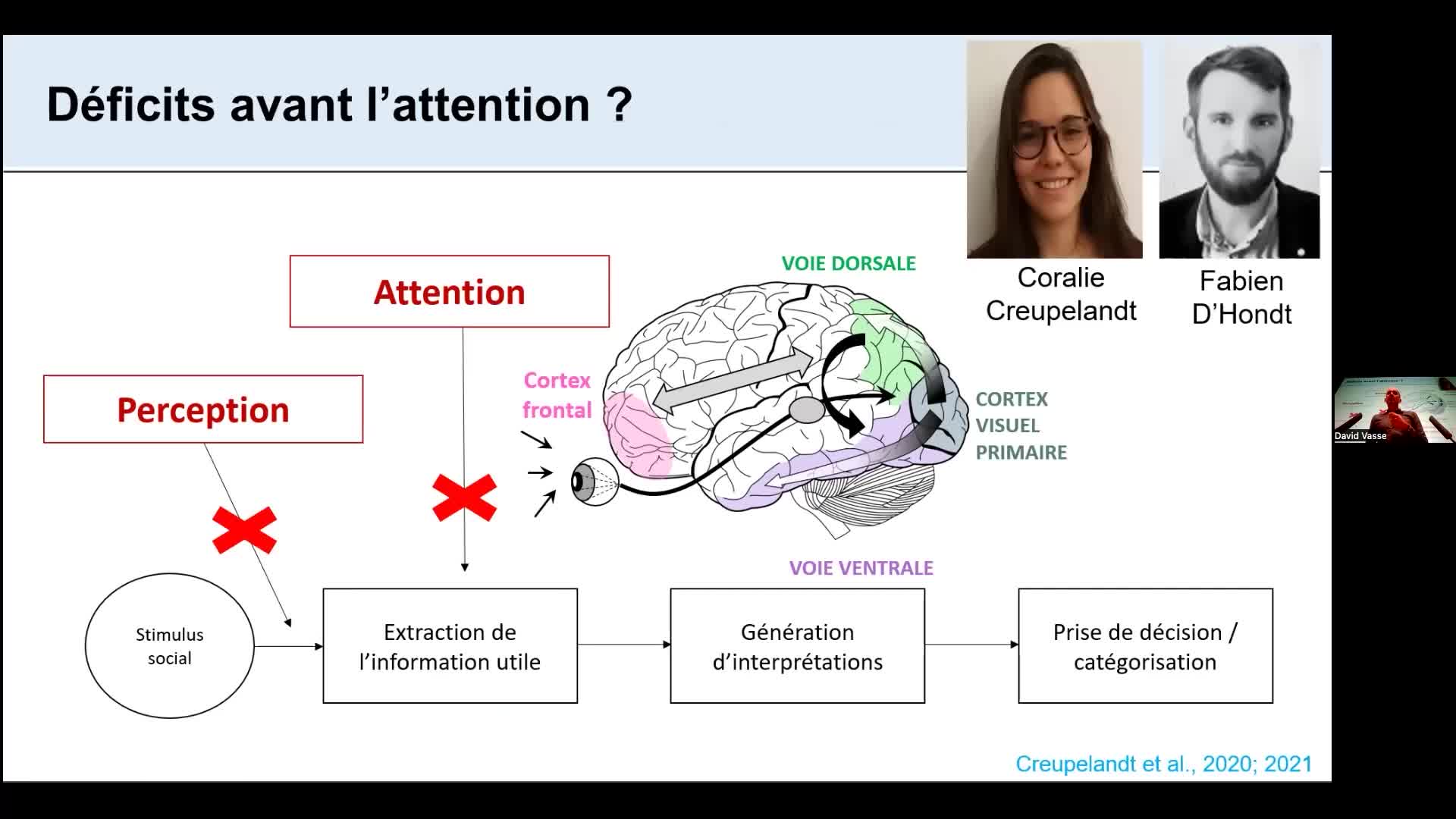 Séminaire Pierre Maurage | 04-Déterminer les interactions entre systèmes cérébraux 