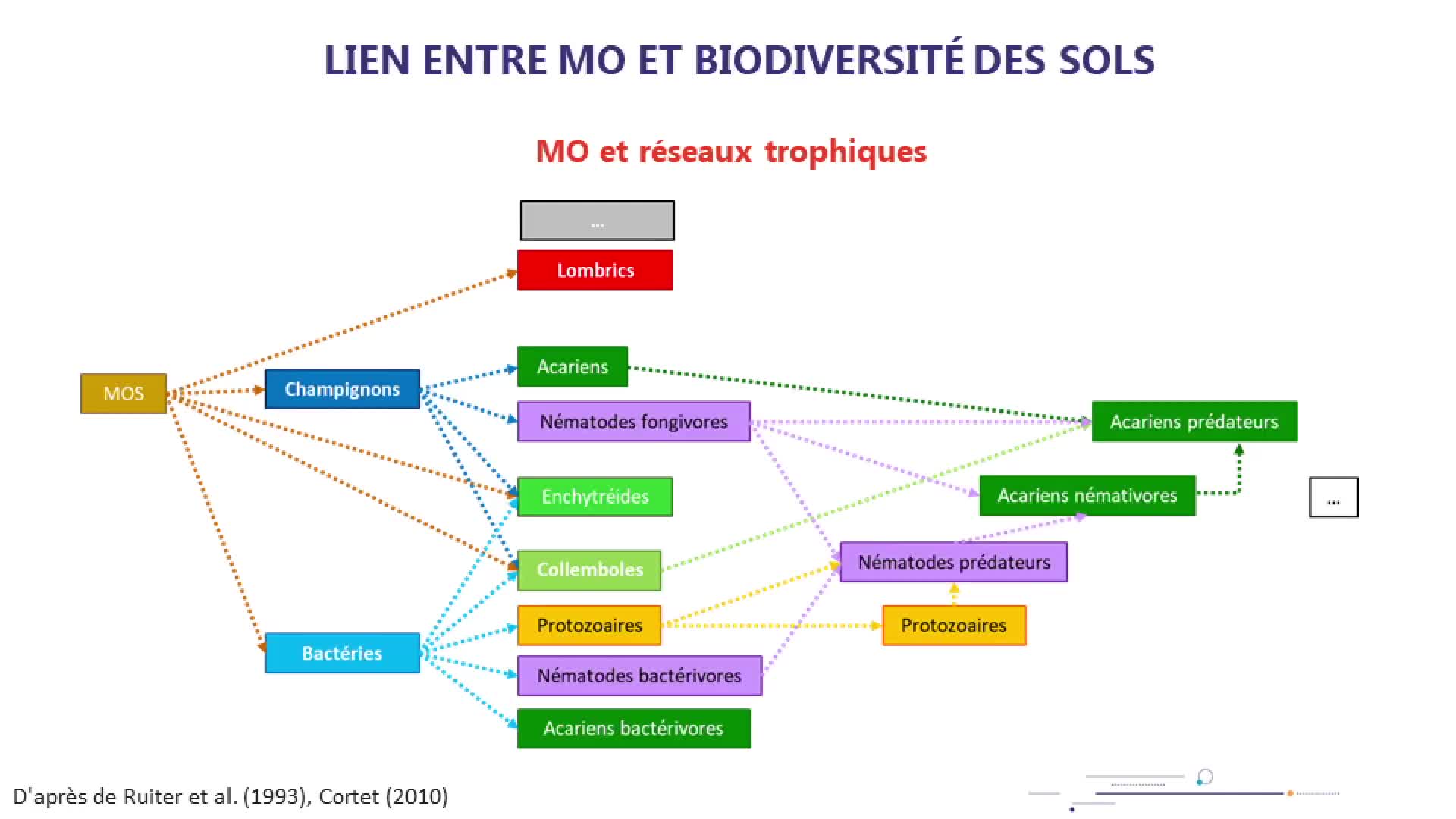 Les matières organiques du sol (MOS), supports de la biodiversité
