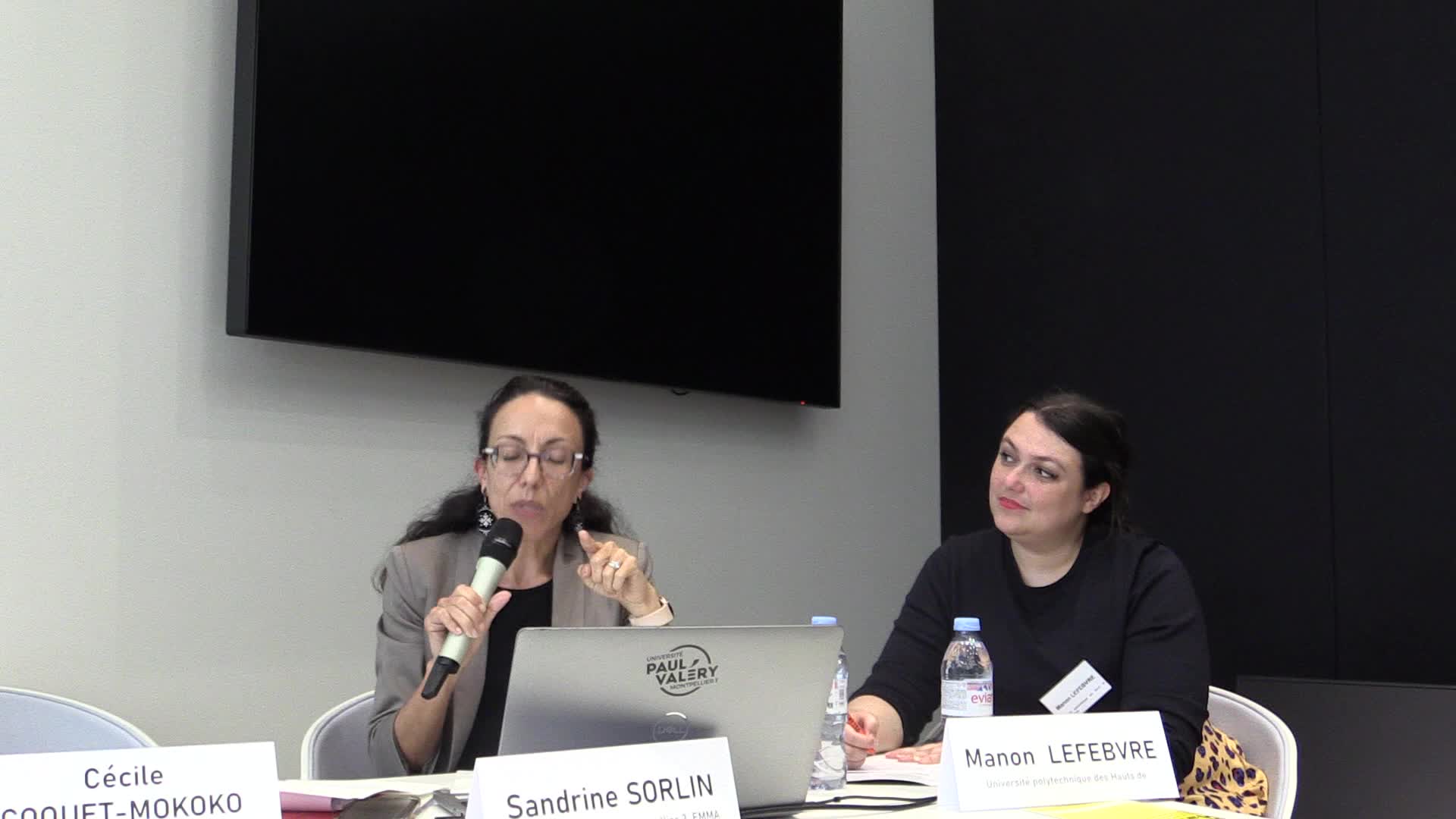 7_sandrine_sorlin_universite_paul-valery_montpellier_3_emma-_focus_versus_denial-_a_pragma-linguistic_analysis_of_the_black_lives_matter_and_all_lives_matter_slogans.mp4