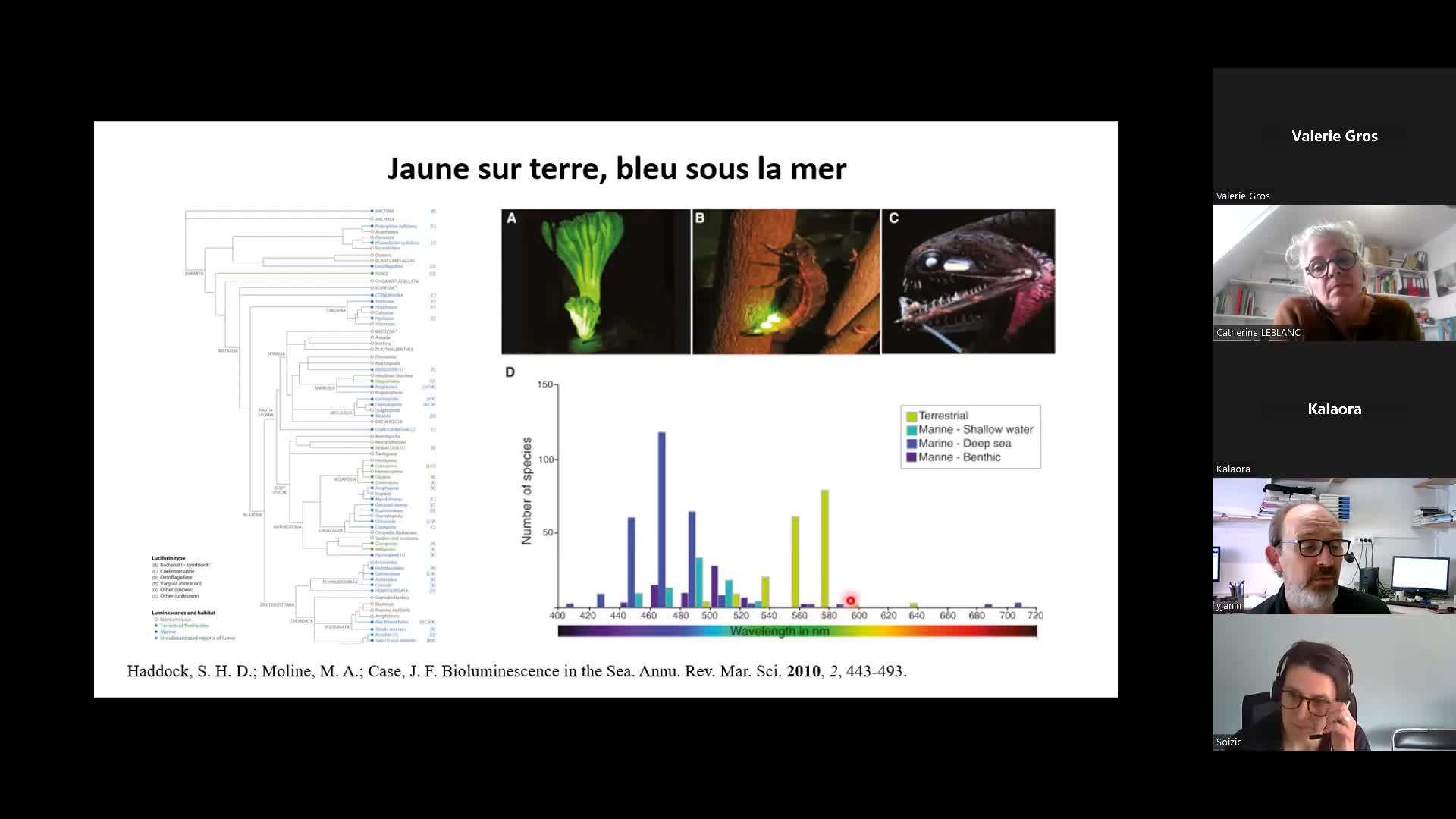 Webinaire Transitions littorales - cycle 4 - De la mer à la terre : retours sensibles de l'océan - séance 2 - Lumières et couleurs de la mer.mp4