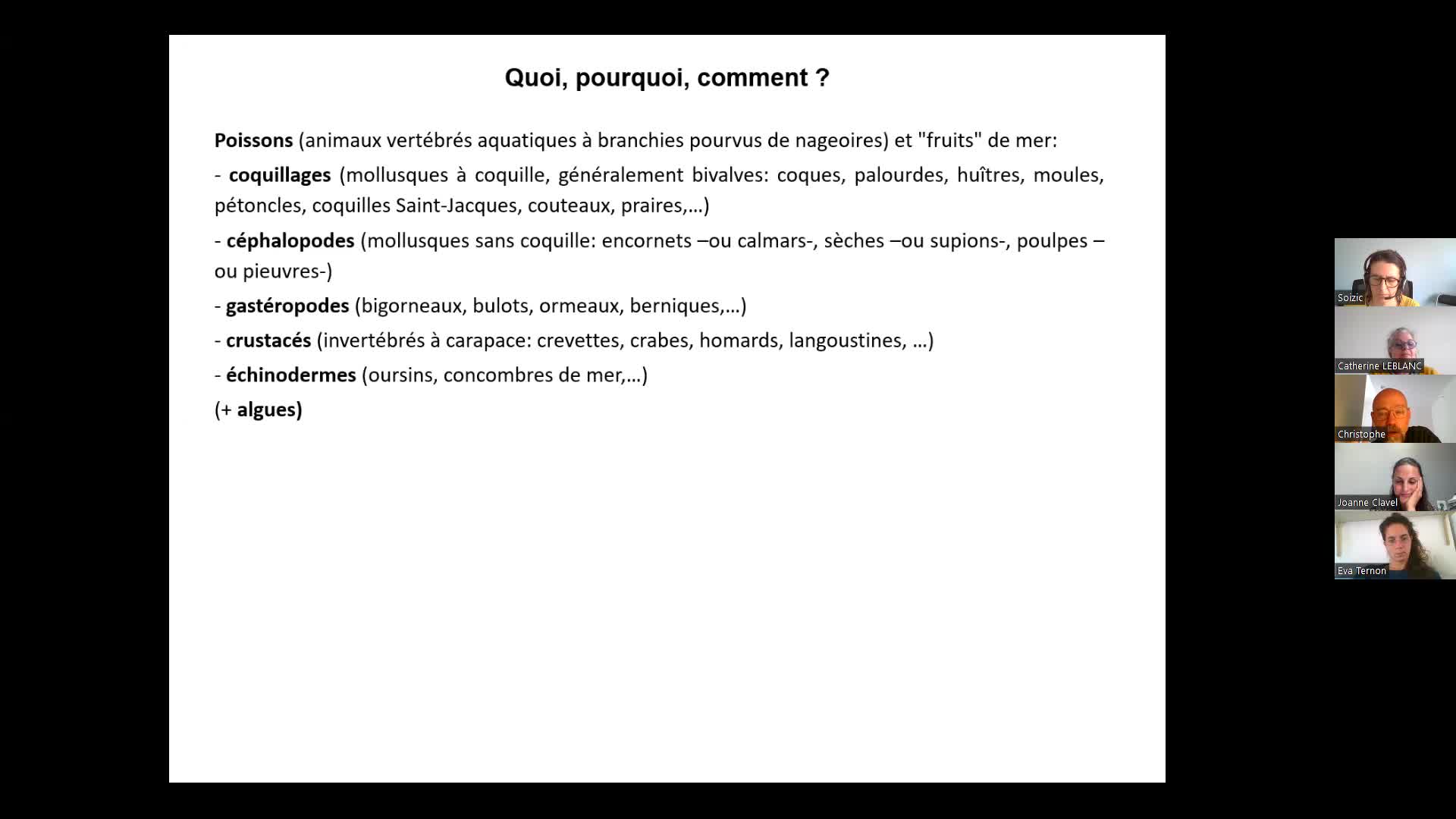 Webinaire Transitions littorales - cycle 4 - De la mer à la terre : retours sensibles de l'océan - séance 3 - Les sensorialites de la mer.mp4