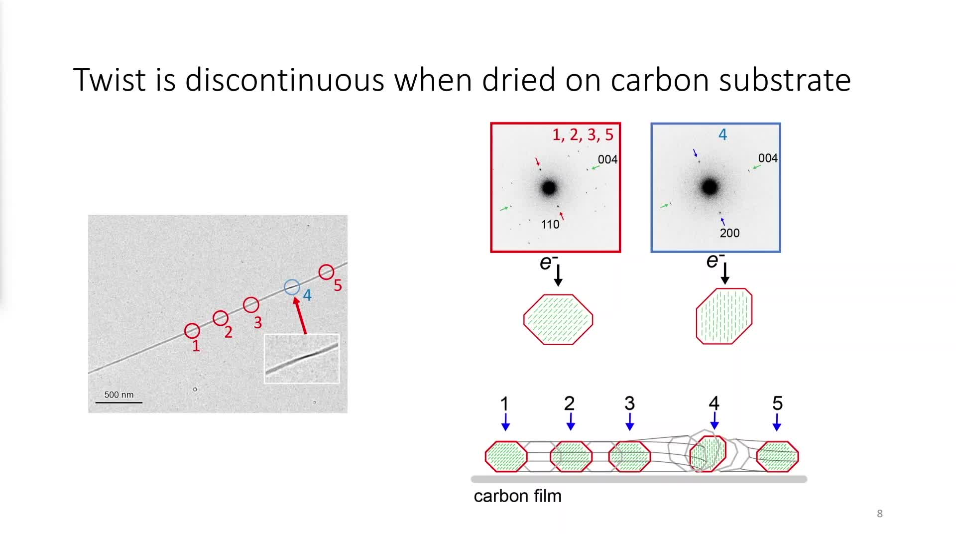 Nanoscale structural heterogeneity of crystalline carbohydrates