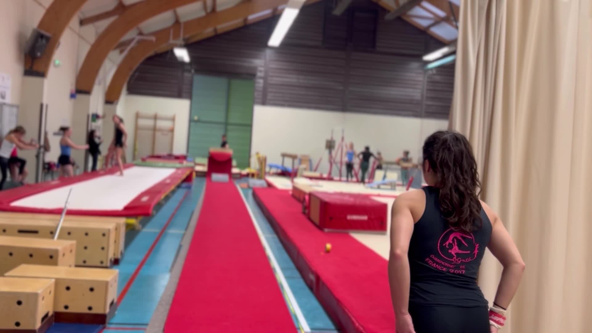 les_techniques_du_corps_en_gymnastique_femininine_artistique.mov