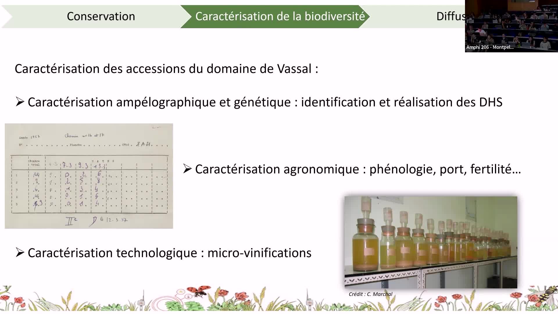 EIR-A, séminaire annuel 2024, Léa Garcin 