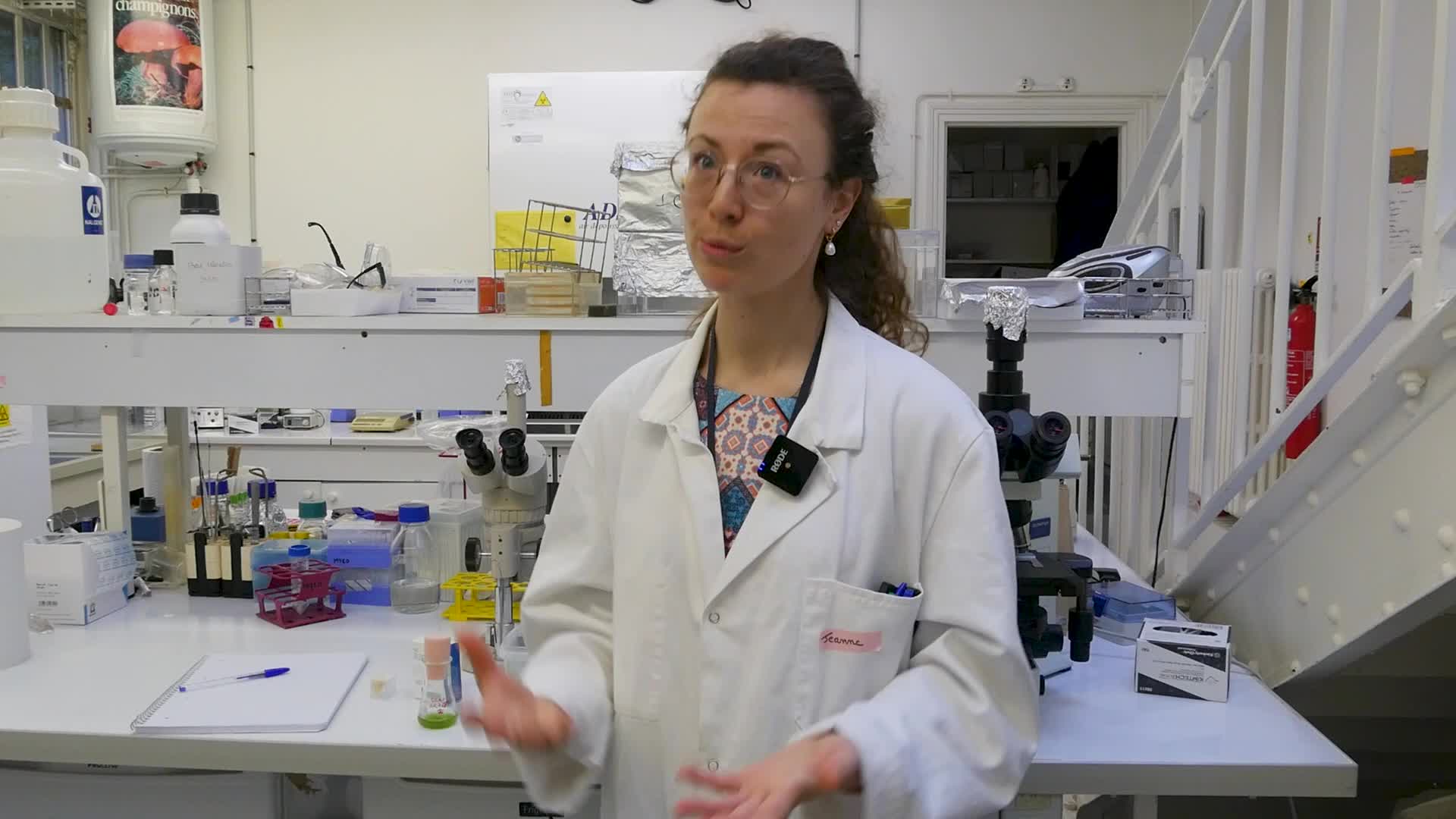 Pourquoi les algues sont-elles malades ?