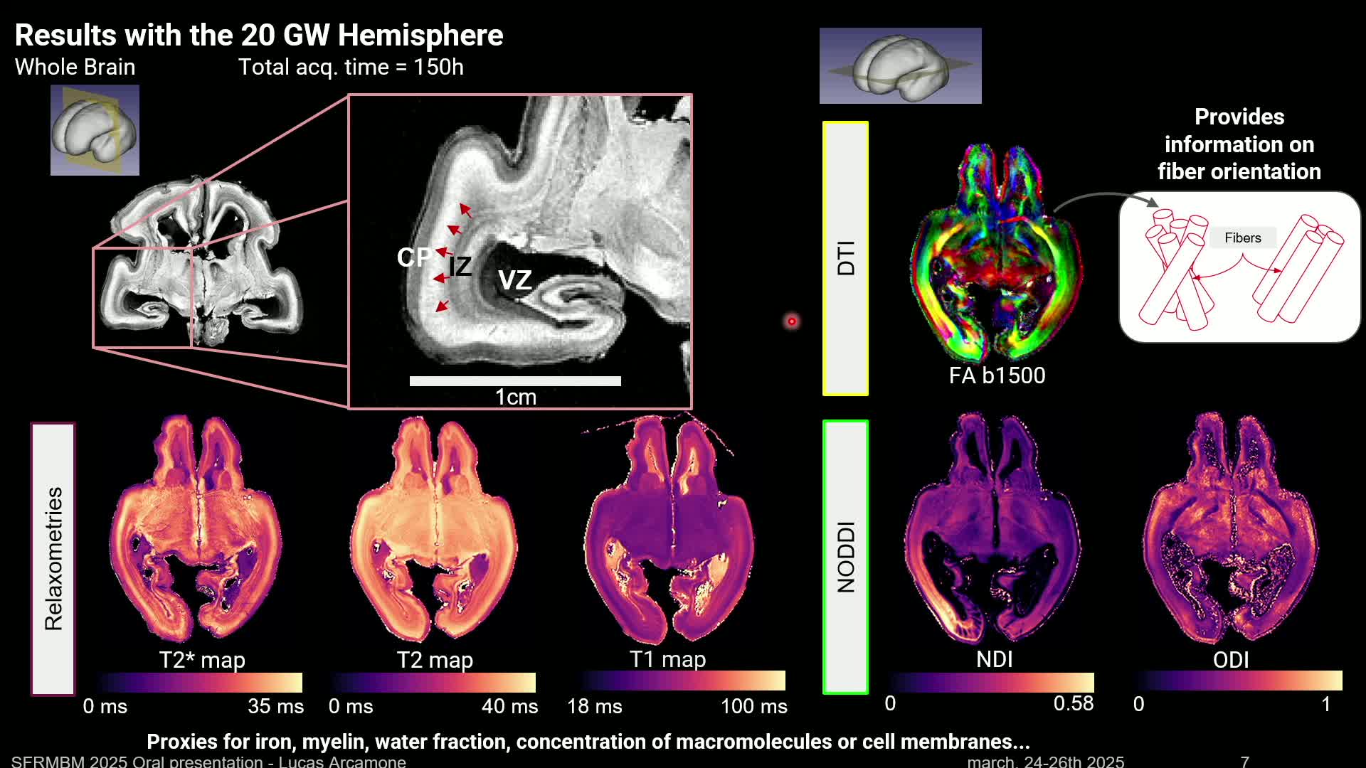 o30_lucas_arcamone.mp4