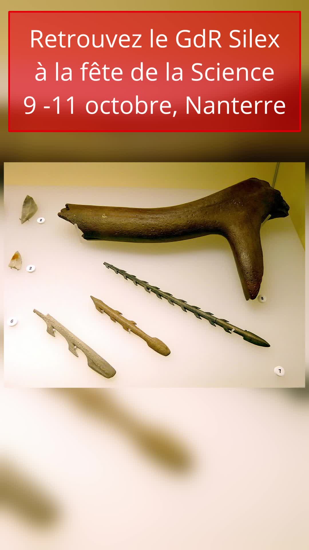 Reproduction de la taille historique
