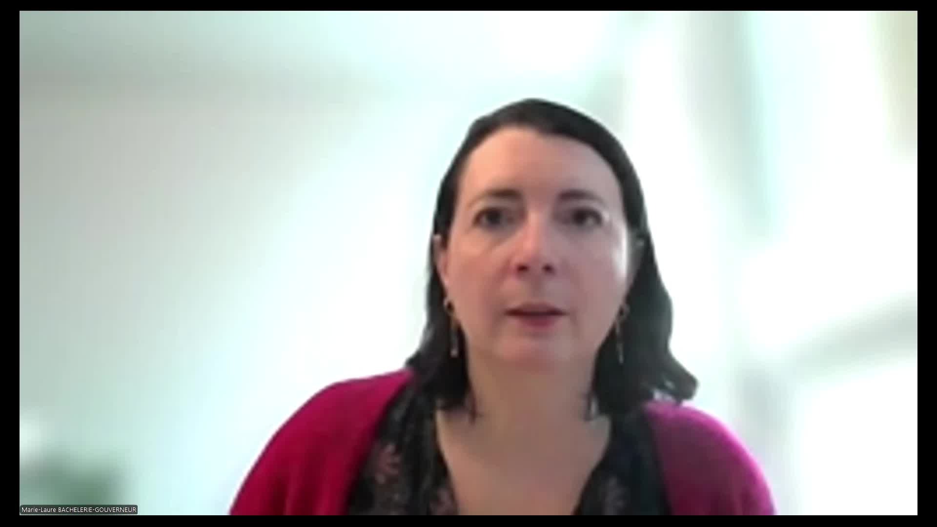 webinaire_archifiltre.mp4