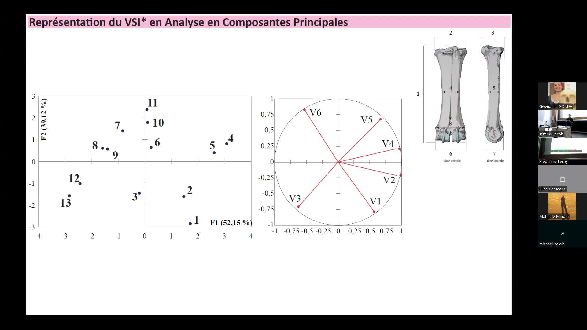 Etude de cas_Statistiques au ‘passé’ : Exemples en paléontologie et taphonomie quaternaire - vidéo 14