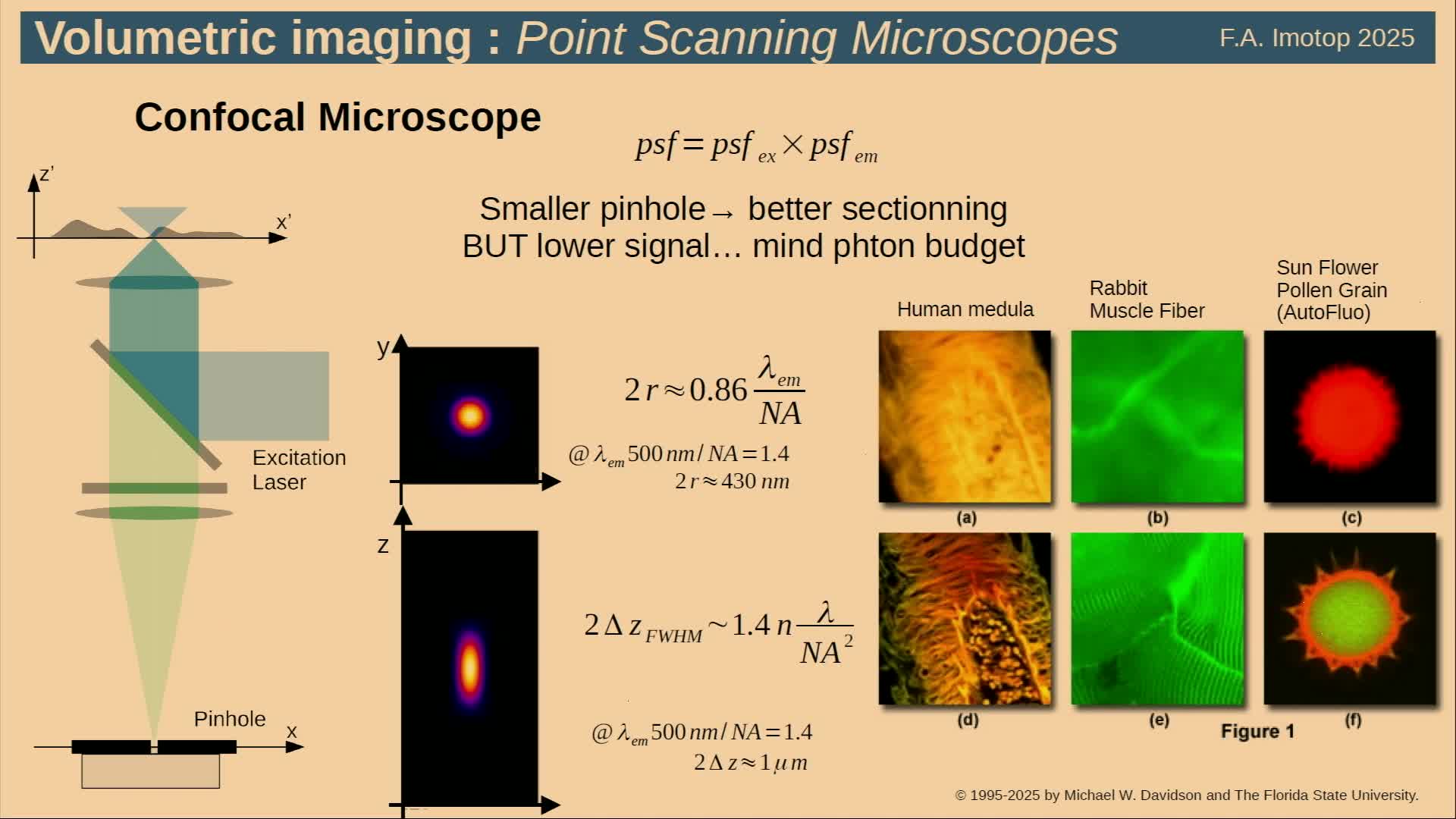 microscopie_de_fluorescence_limites_et_contournements_1080p.mp4