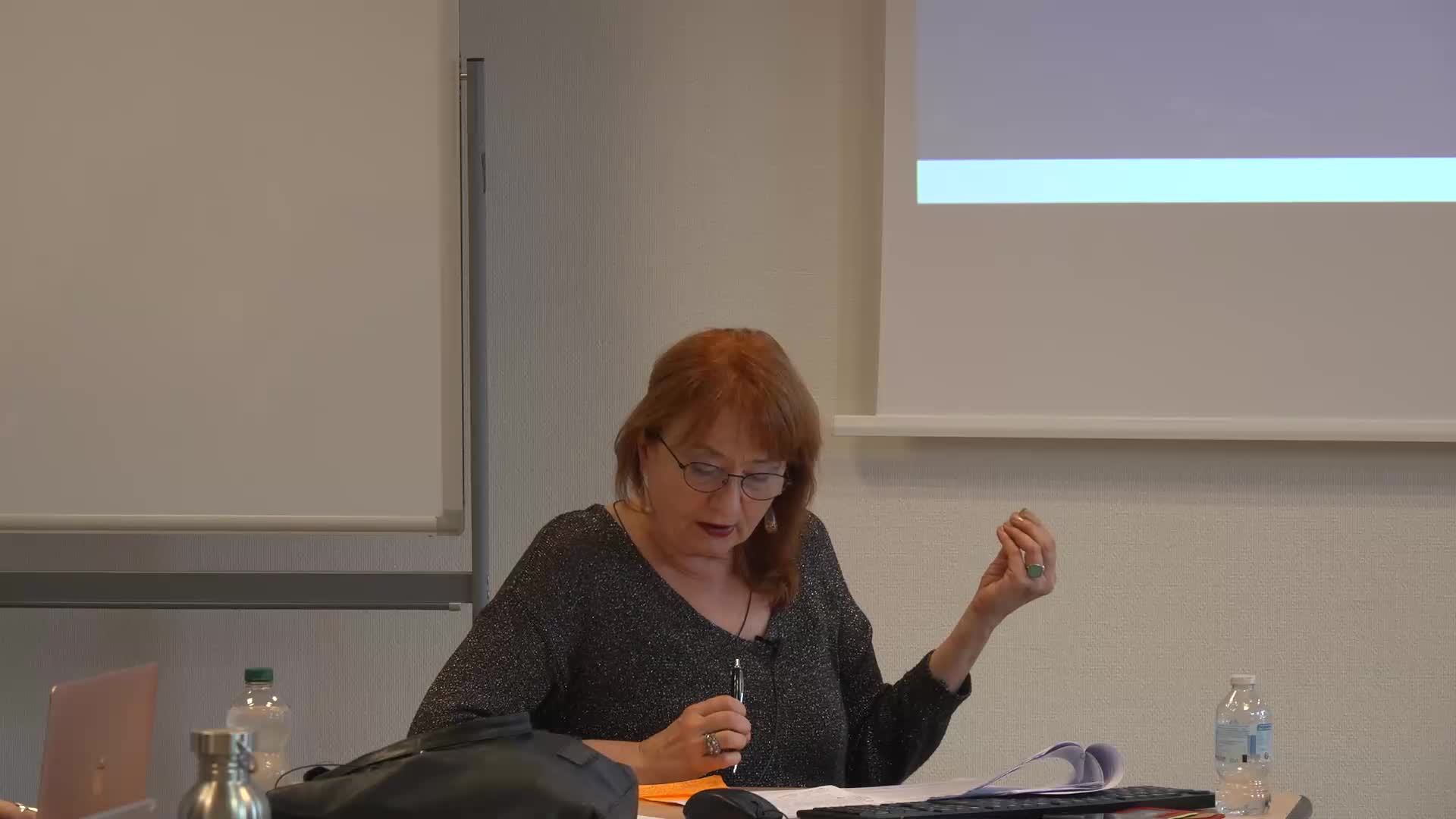 anca_cristofovici.mp4