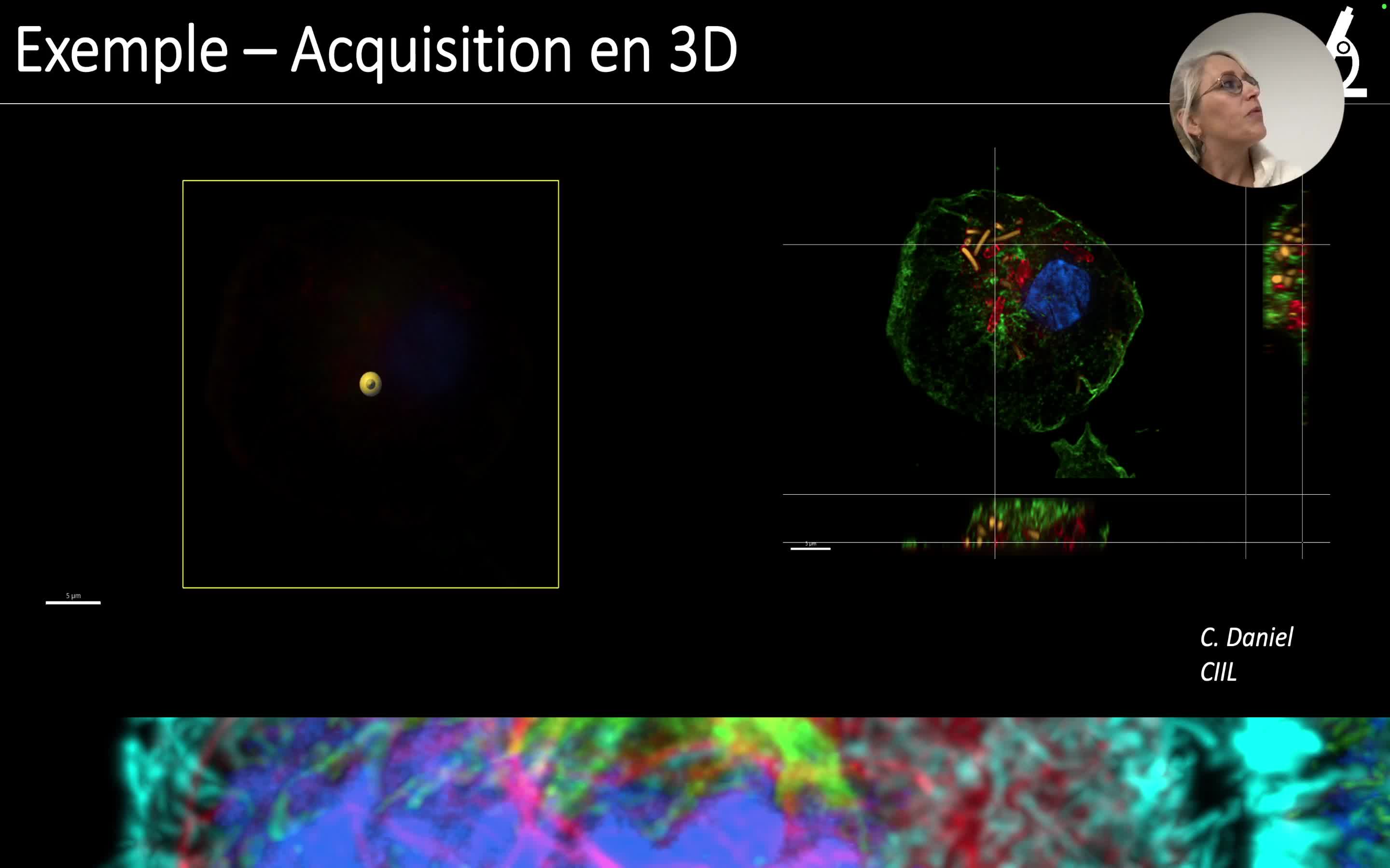 introduction_a_la_microscopie_de_fluorescence_-_ewerkmeister.mov