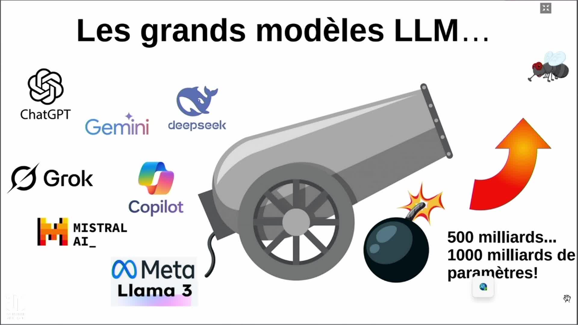 video_7_nahua_1decembre_2025.mp4