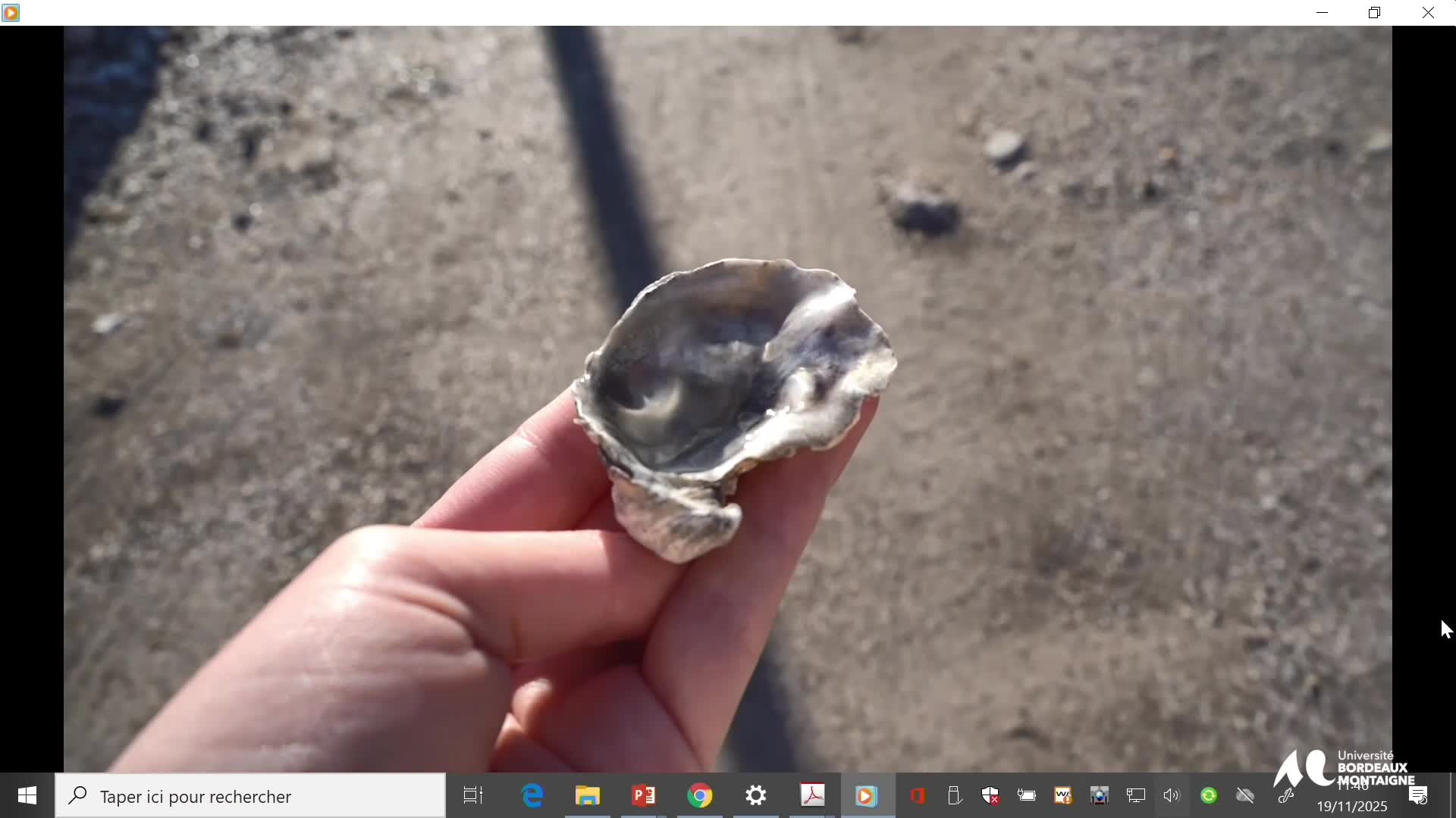 4_oceane_maireaux.m4v