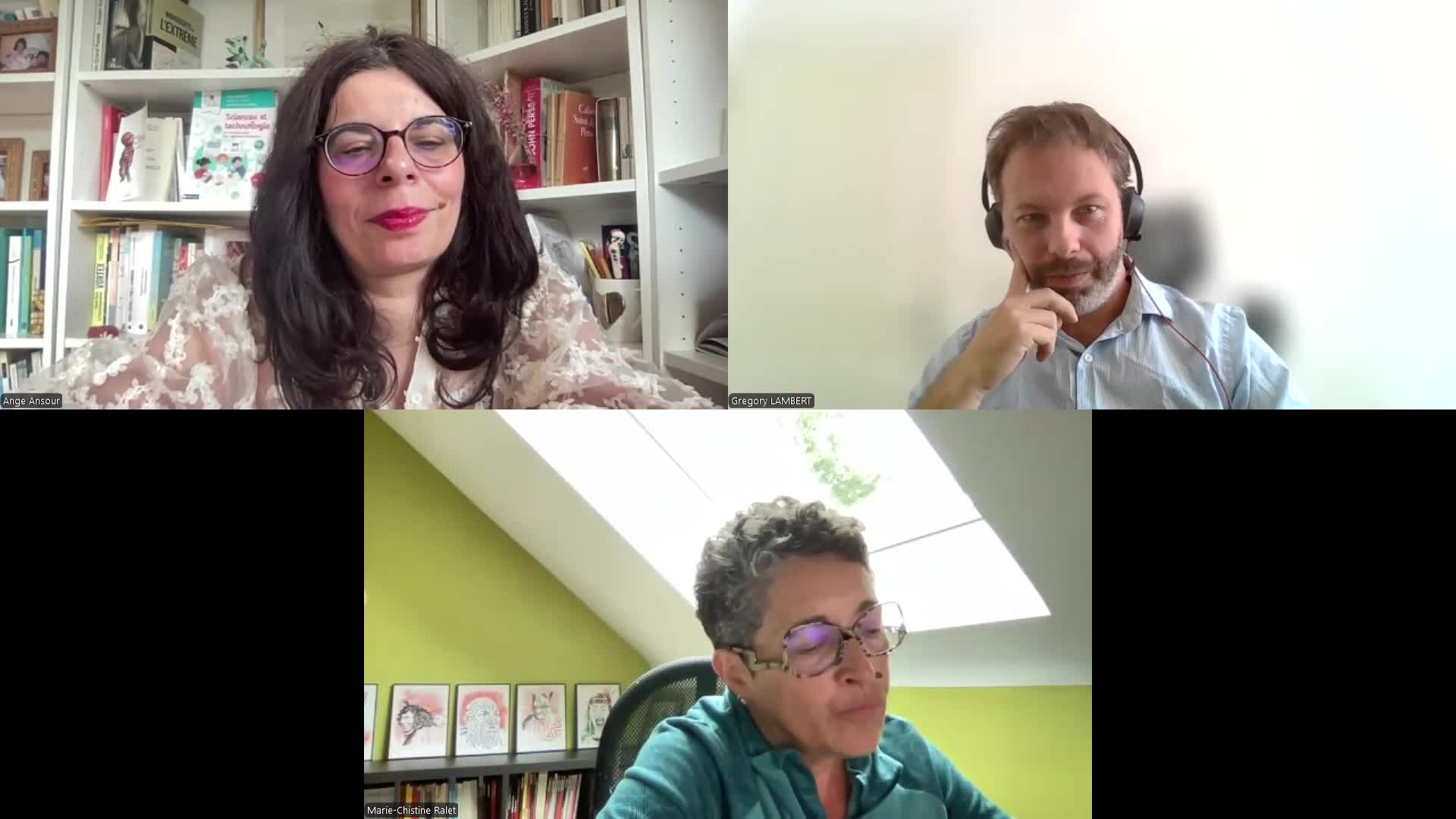 webinaire_au_sens_large_n2.mp4