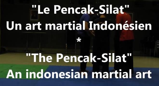 Entretien sur la pratique d'un art martial indonésien : le Pencak-Silat