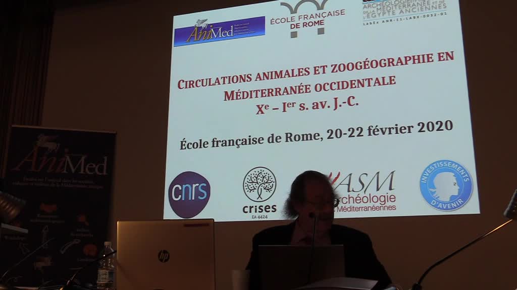 Historia Animalium : on Faunal Histories of the Mediterranean