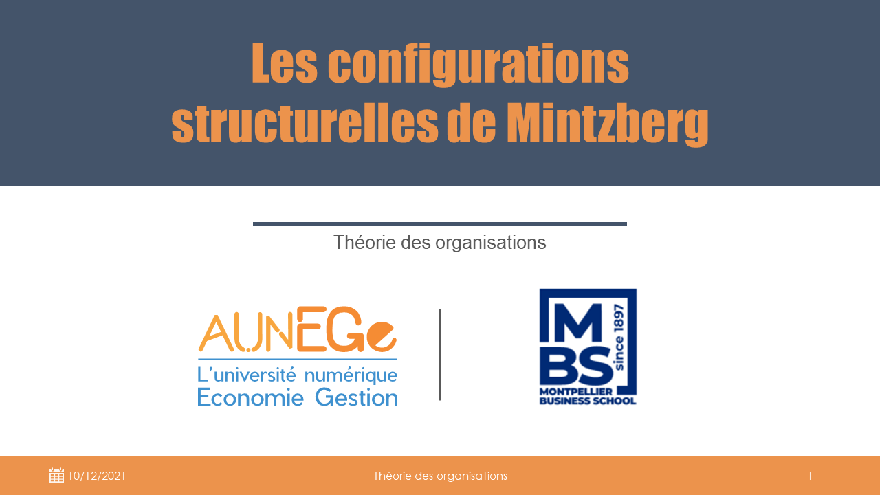 Les configurations structurelles de Mintzberg