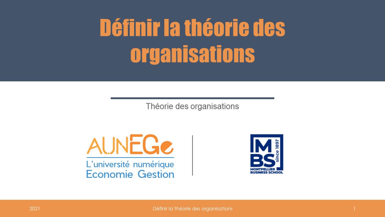 Définir la théorie des organisations