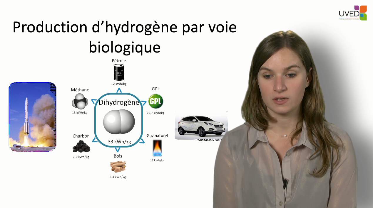 5. Production d'hydrogène par voie biologique