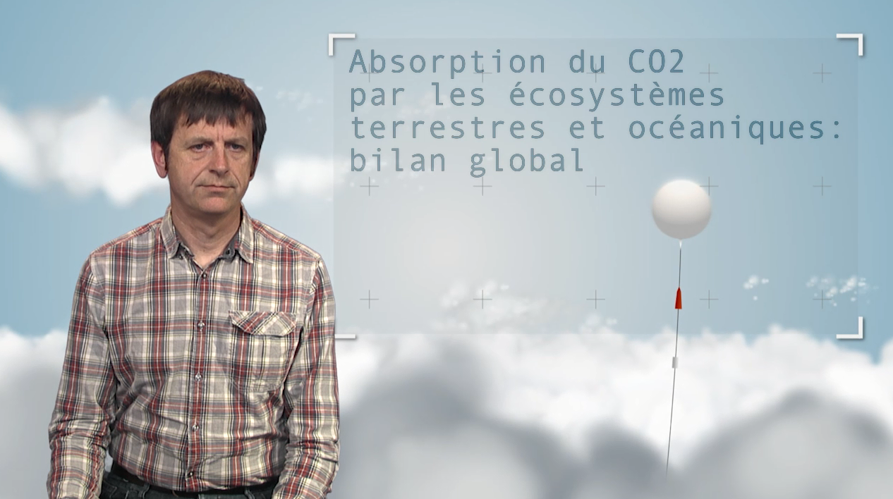 3. Absorption du CO2 par les écosystèmes terrestres et océaniques : bilan global