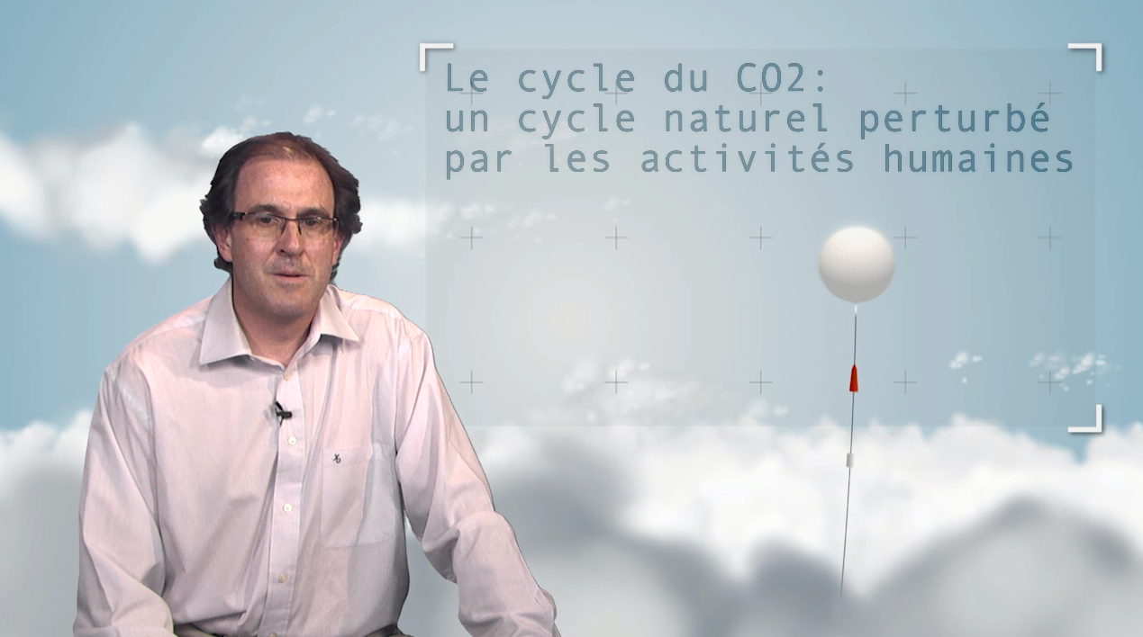 EN-2. The carbon cycle: a natural cycle disrupted by human activity