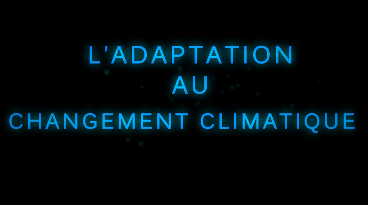 EN-9. Adapting to climate change