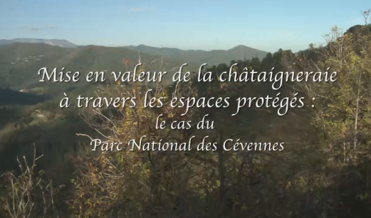 12. Mise en valeur de la châtaigneraie à travers les espaces protégés : le cas du Parc National des Cévennes