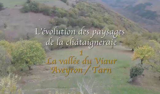 17. L'évolution des paysages de la châtaigneraie
1. La vallée du Viaur (Aveyron / Tarn)