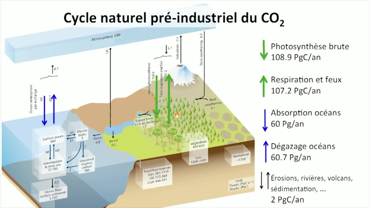 ES - 11. El ciclo del CO2 : un ciclo natural perturbado por la actividad humana