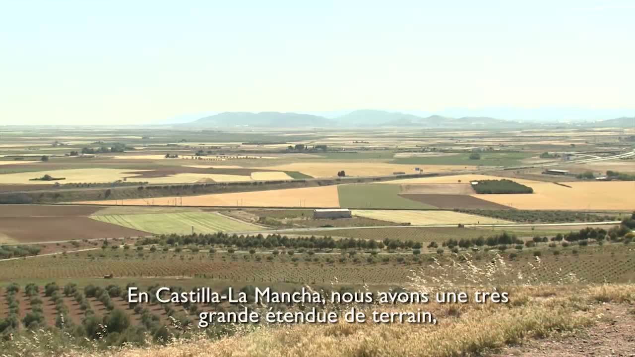 La Mancha : le plus vaste vignoble du monde