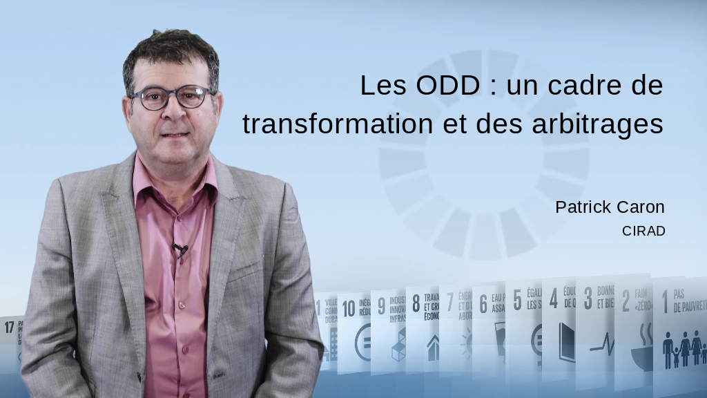 Les ODD : un cadre de transformation et des arbitrages