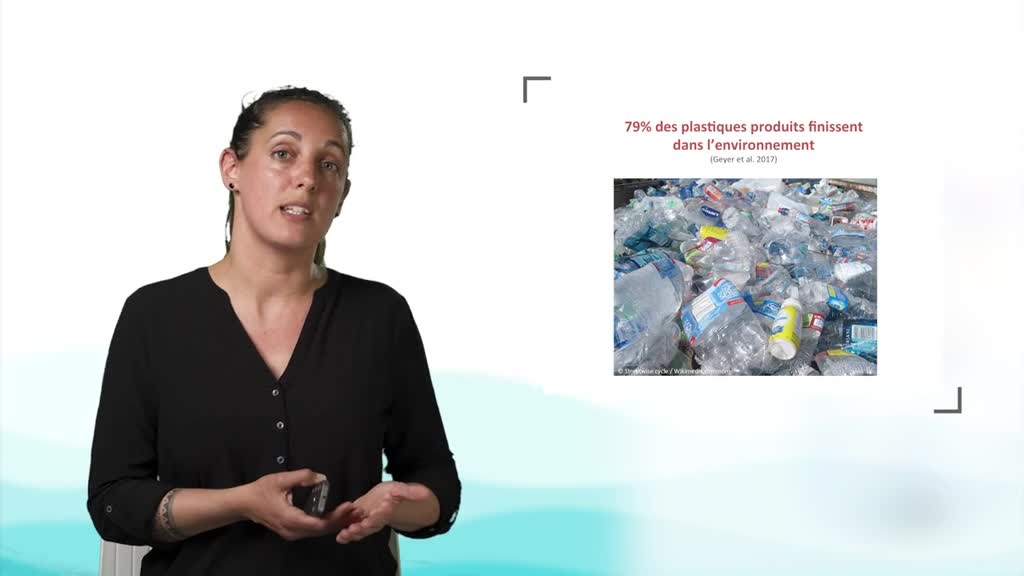 Un océan de plastiques : quels impacts sur le vivant ?