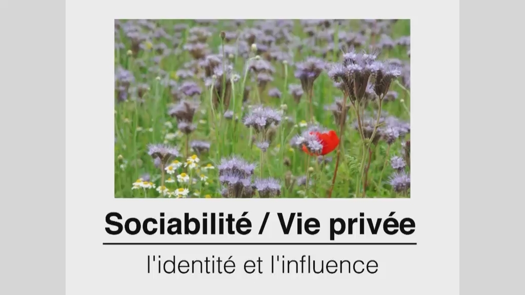 06A : Sociabilité - Vie privée ; l'identité et l'influence (CN14-15)