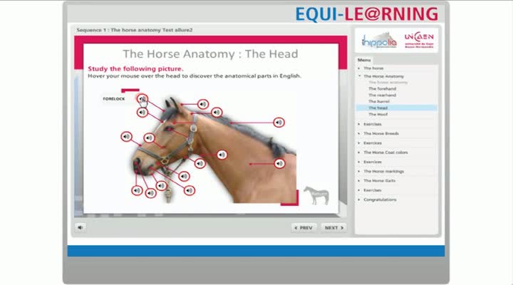 Présentation du module Equi-learning