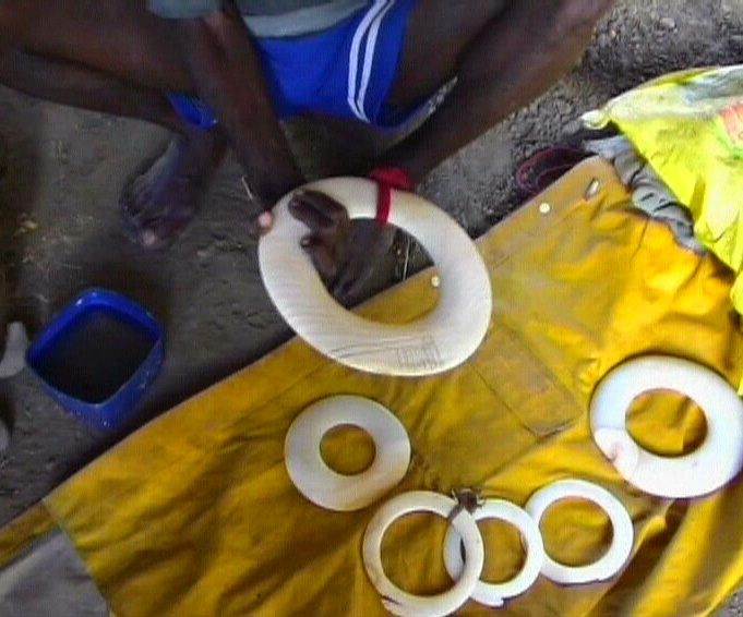 KOBOIBUS, anneaux de nacre en Nouvelle-Guinée