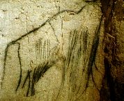 L'Art préhistorique en Quercy