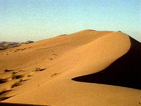 Le Namib : un désert original / 1. La quête de l'eau et de la nourriture