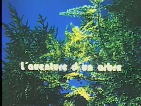 Série Ginkgo - L'aventure d'un arbre