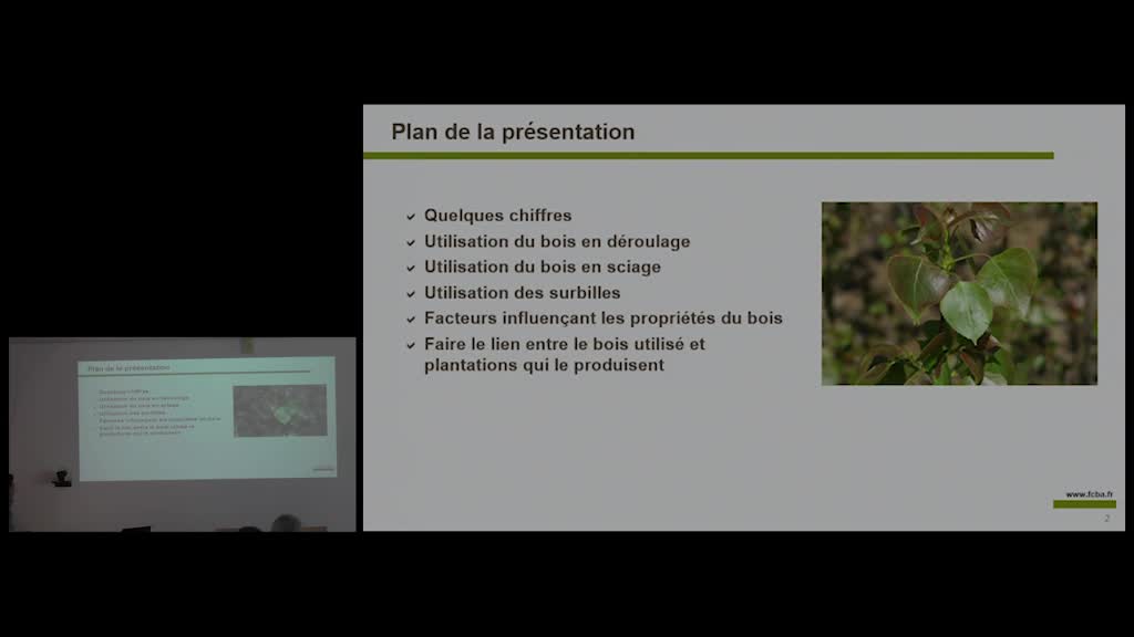 10 - "Le bois de peuplier : une ressource locale et renouvelable pour de nombreux usages" : Alain Berthelot (FCBA), Bernard Mourlan (Chambre du peuplier)