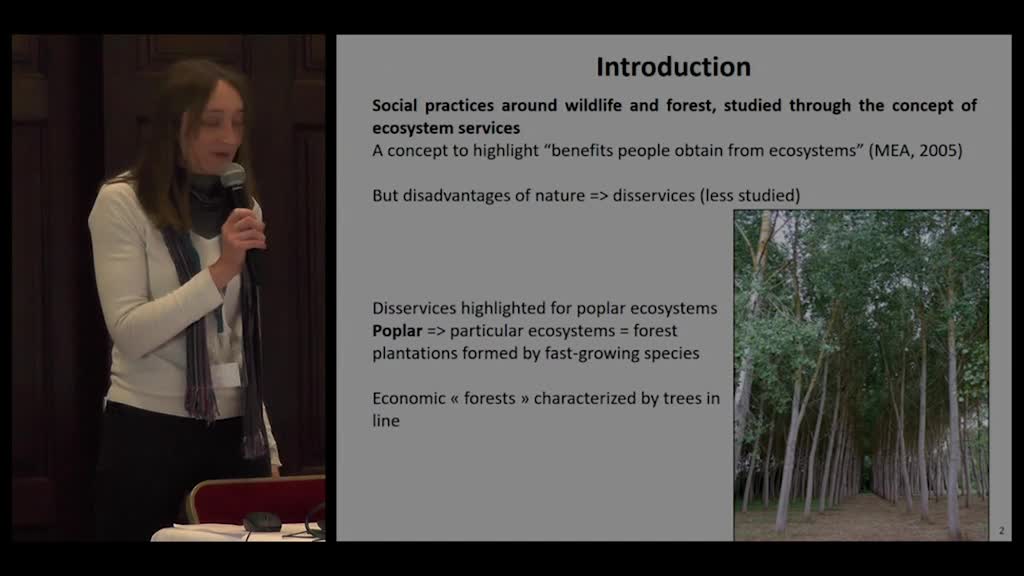 12 - "Le castor et le peuplier : quand une espèce protégée menace la "forêt"... Disservices mis en lumière par les populiculteurs" : Amélie Robert (UMR CITERES)