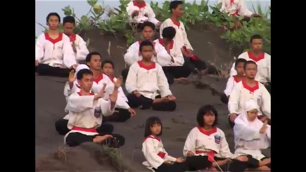 "La perception dans les arts martiaux indonésiens : L’école Merpati Putih"