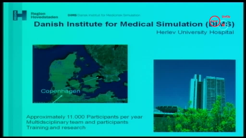 SEGAMED Nice 2012 : Using Simulation Debriefing as a Tool.