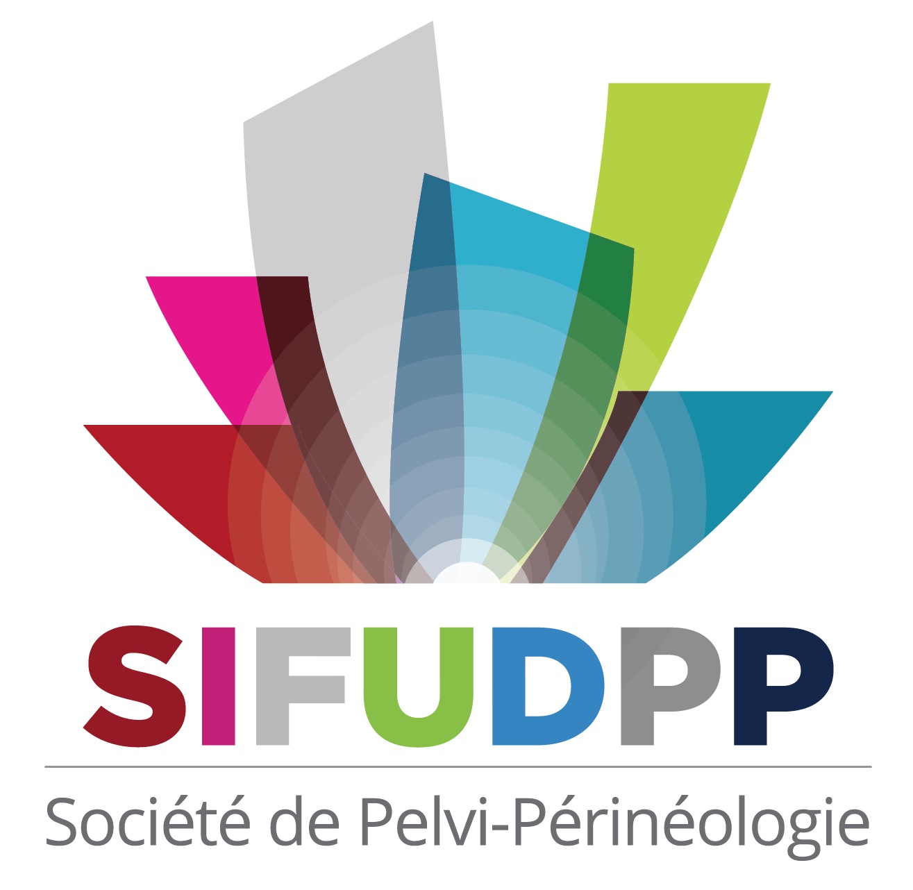 SIFUD-PP Bruxelles 2015 : Douleurs et prolapsus
