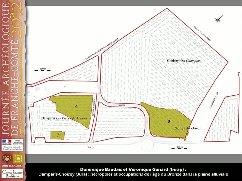 Damparis-Choisey (Jura) : nécropoles et occupations de l’âge du Bronze dans la plaine alluviale. Dominique Baudais (Inrap), Véronique Ganard (Inrap)
