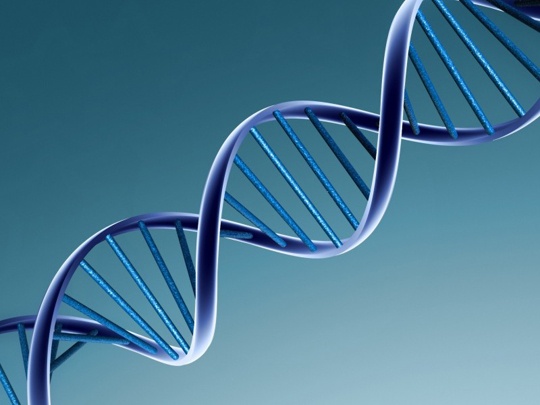 Manipuler l’ADN à l’échelle de la molécule unique, de la recherche fondamentale aux applications