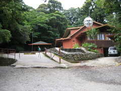 Biodiversidad en Costa Rica : gestión y administración del Bosque  Nuboso